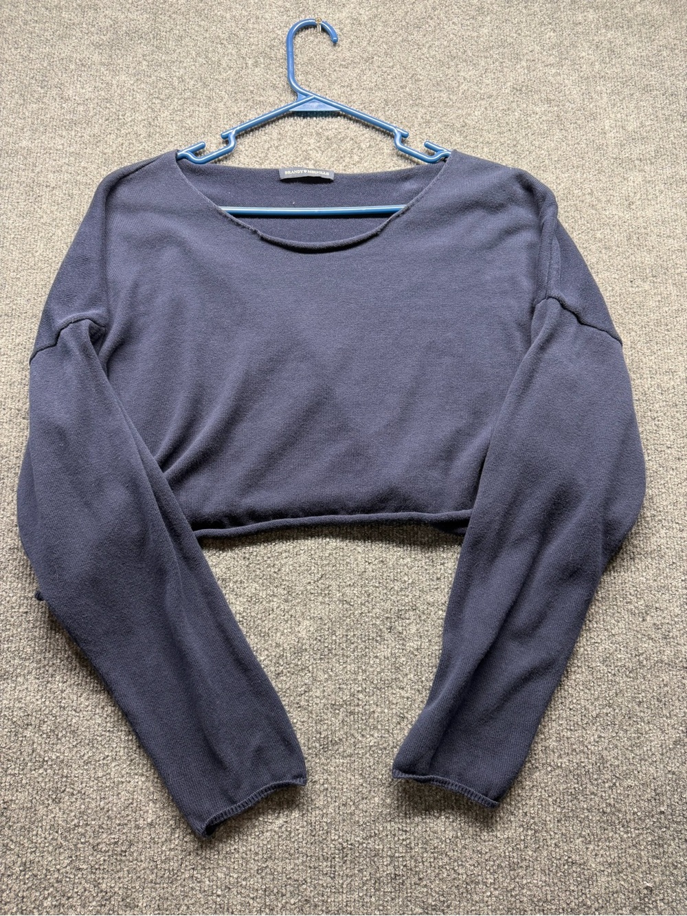 Brandy Melville Navy Cropped Long Sleeve Sweater